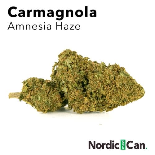 Carmagnola | Amnesia Haze | 18,7%