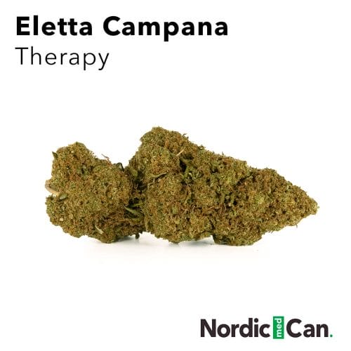 Eletta Campana | Therapy | 15,5%